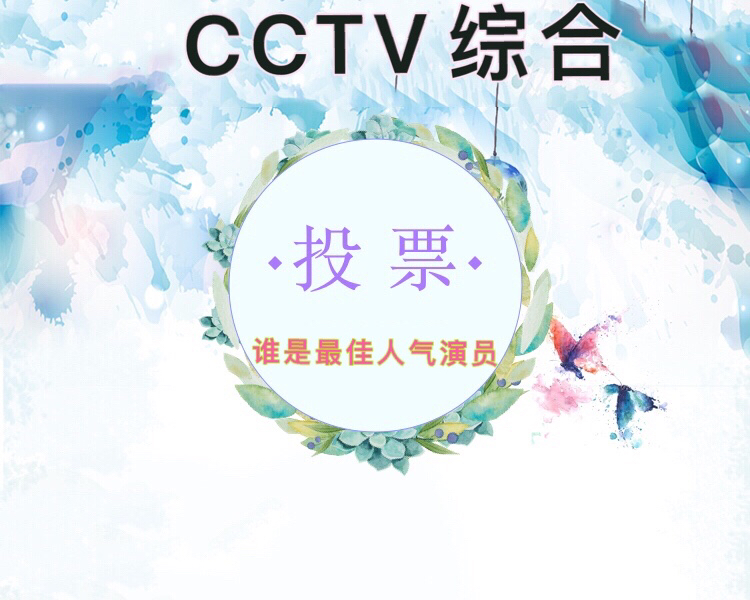 北京CCTV童星人气投票赛